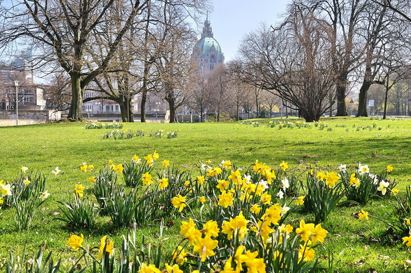 Fruehling2012   031.jpg